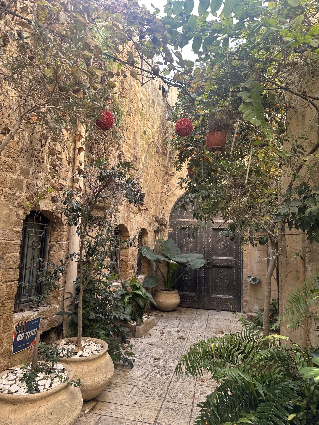 Потрясающая экскурсия! Очень понравился маршрут и подача материала. Осталось множество позитивных эмоций и впечатлений