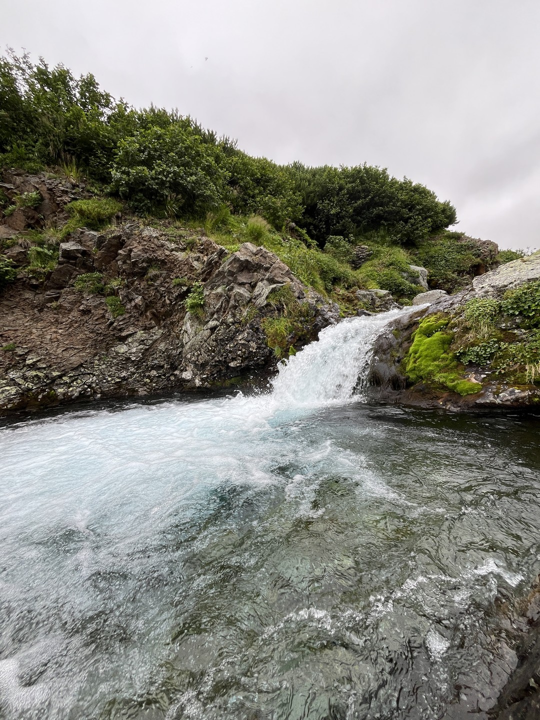 Потрясающий маршрут: красиво невероятно, интересно и интерактивно (спасибо сусликам). Отличный гид: веселый человек, интересный рассказчик, крутой
