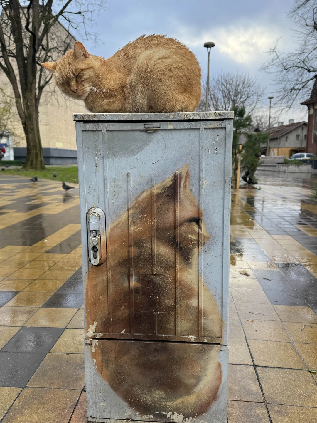 Мы провели чудесный день в Зеленоградске и Светлогорске в компании замечательного гида Елены. Это была по-настоящему