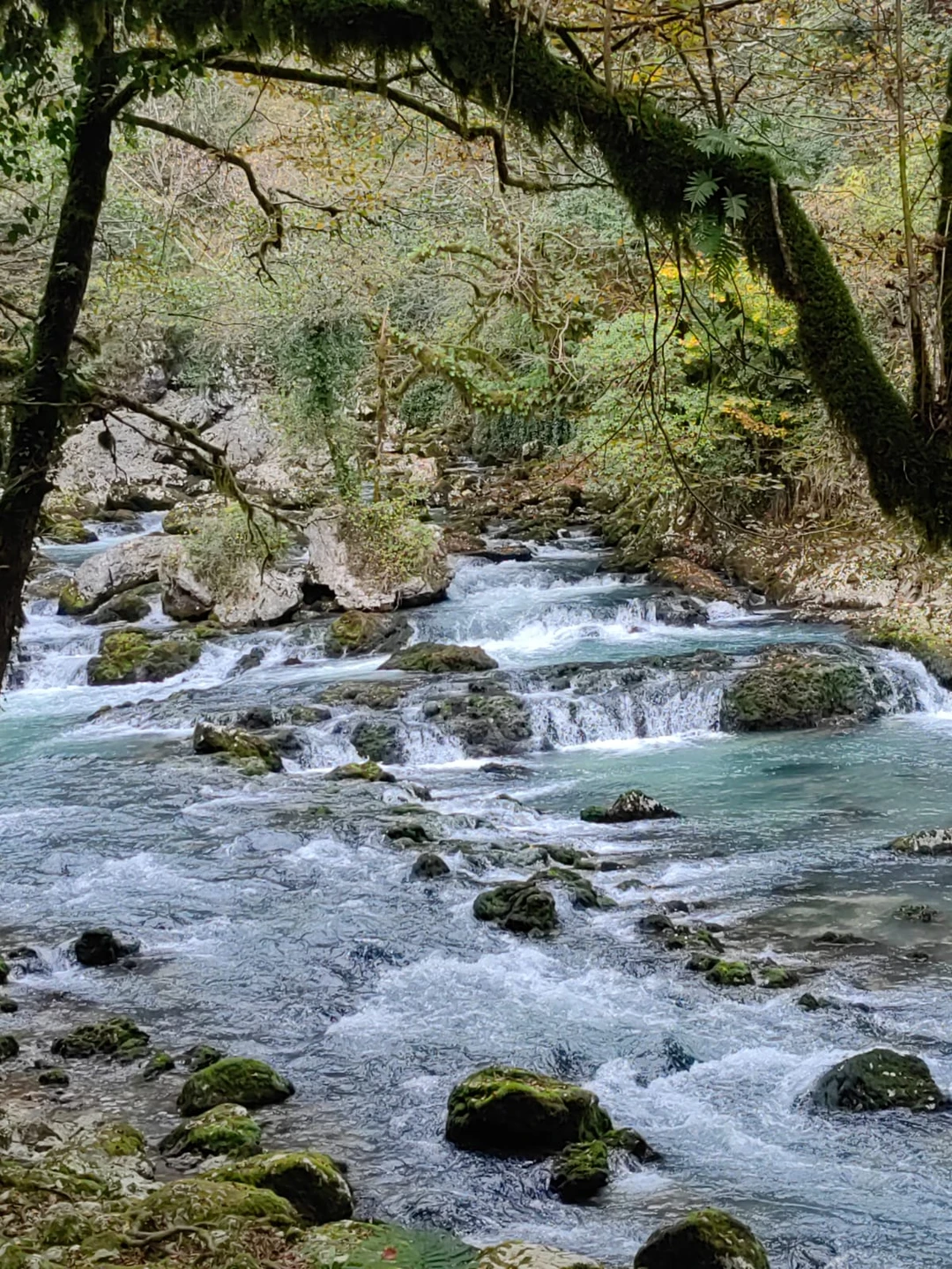 11 ноября всей семьей были в Абхазии, экскурсовод Виталий заранее с нами связался,обговорили время и место
