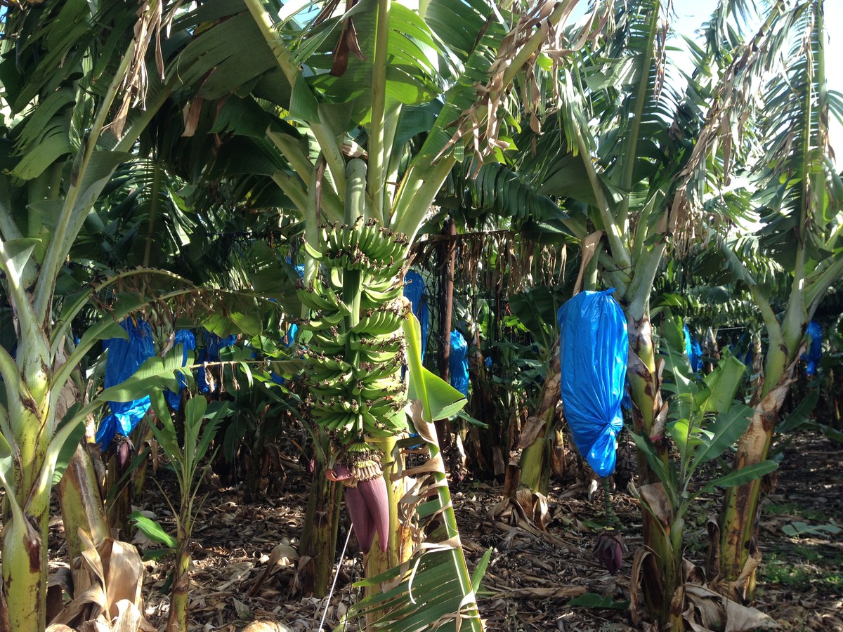 Нефасадная жизнь Израиля (3/6)