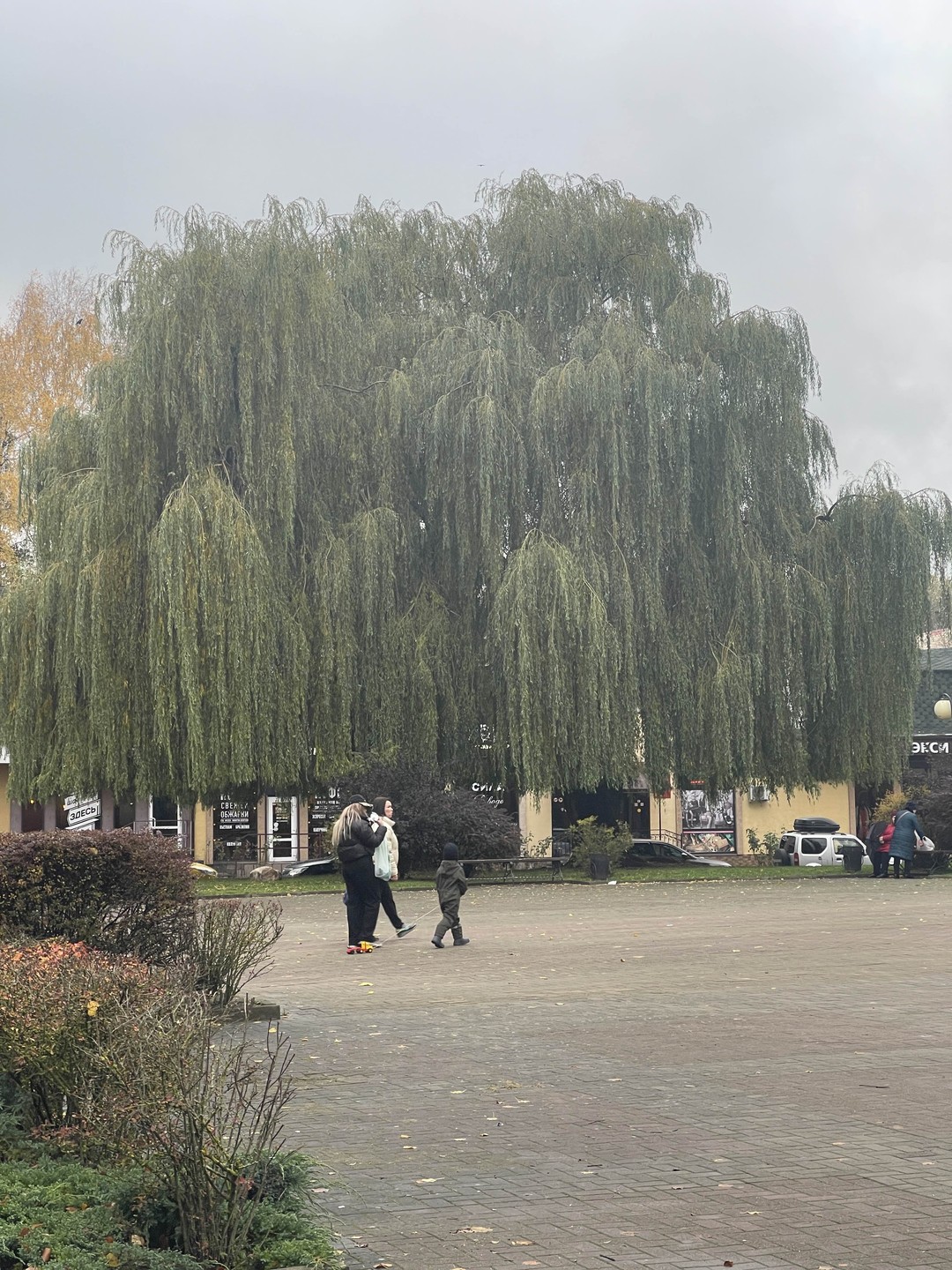 Экскурсия понравилась. Это путешествие в отличие от большинства других данного экскурсионного бюро комфортно по своему темпу