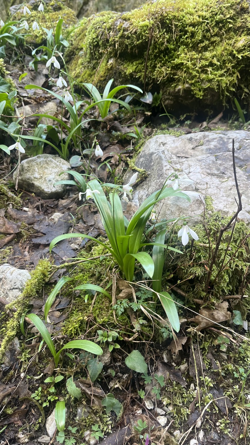 Отличная экскурсия!