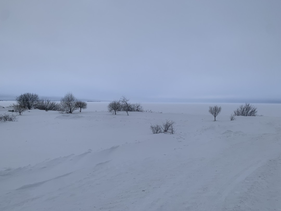 Оригинальный опыт! Молниеносная блиц-экскурсия, содержащая, тем не менее, все необходимые составляющие - знакомство с массой интересных