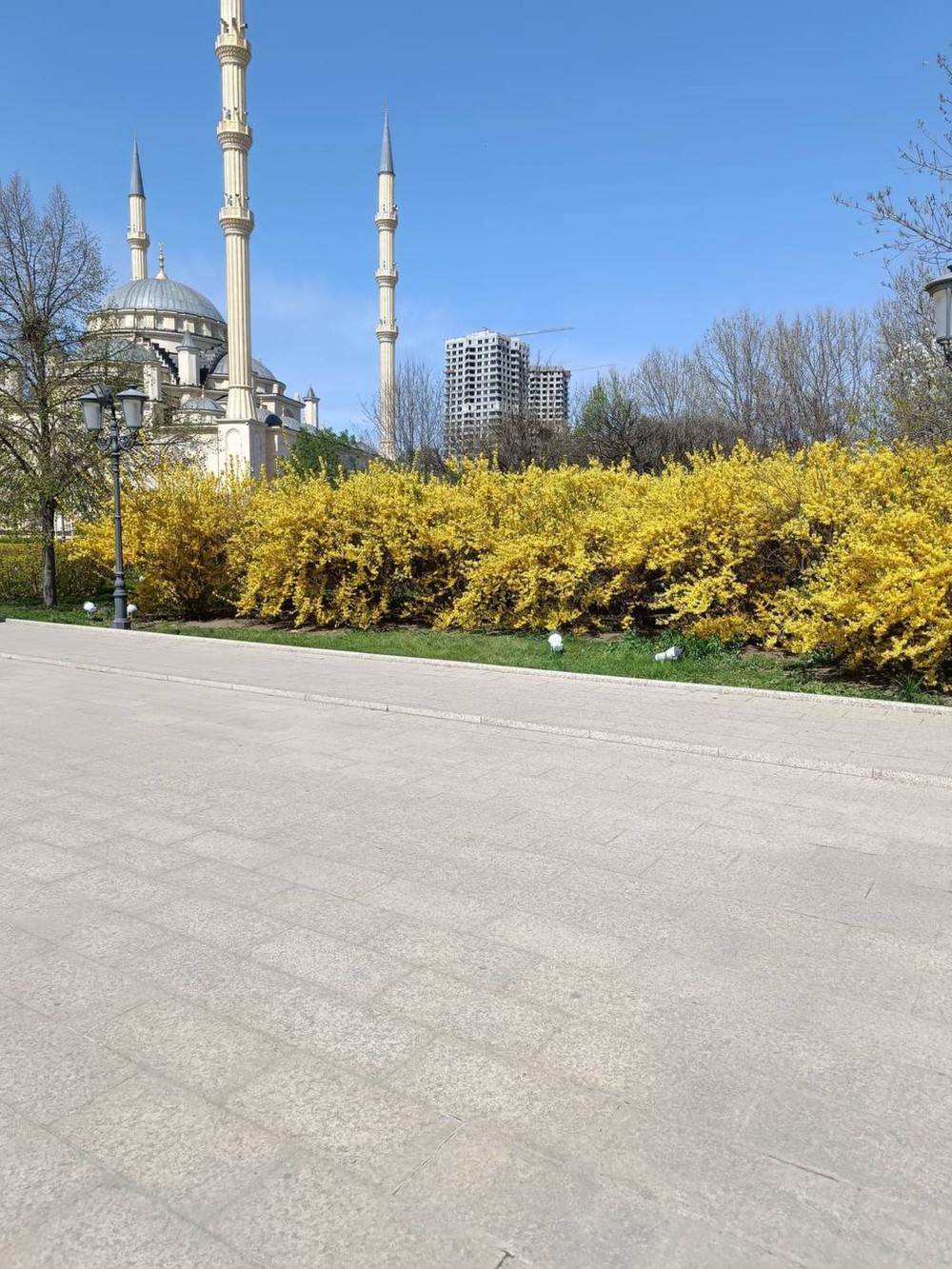 Фото Из Кисловодска к соседям — 4 республики и 5 городов за день!