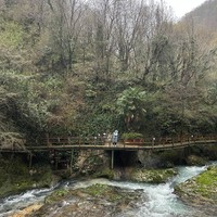 Фото отзыва 1: экскурсия "День отдыха в Абхазии: природа, дегустации, термальные источники"