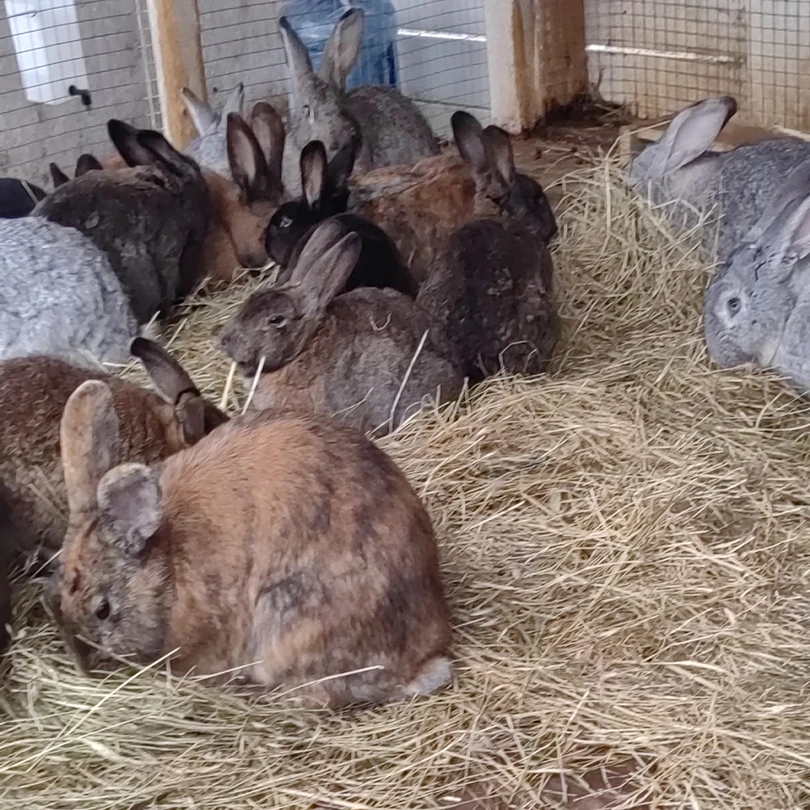 Очень познавательная и интересная экскурсия, большое спасибо гиду