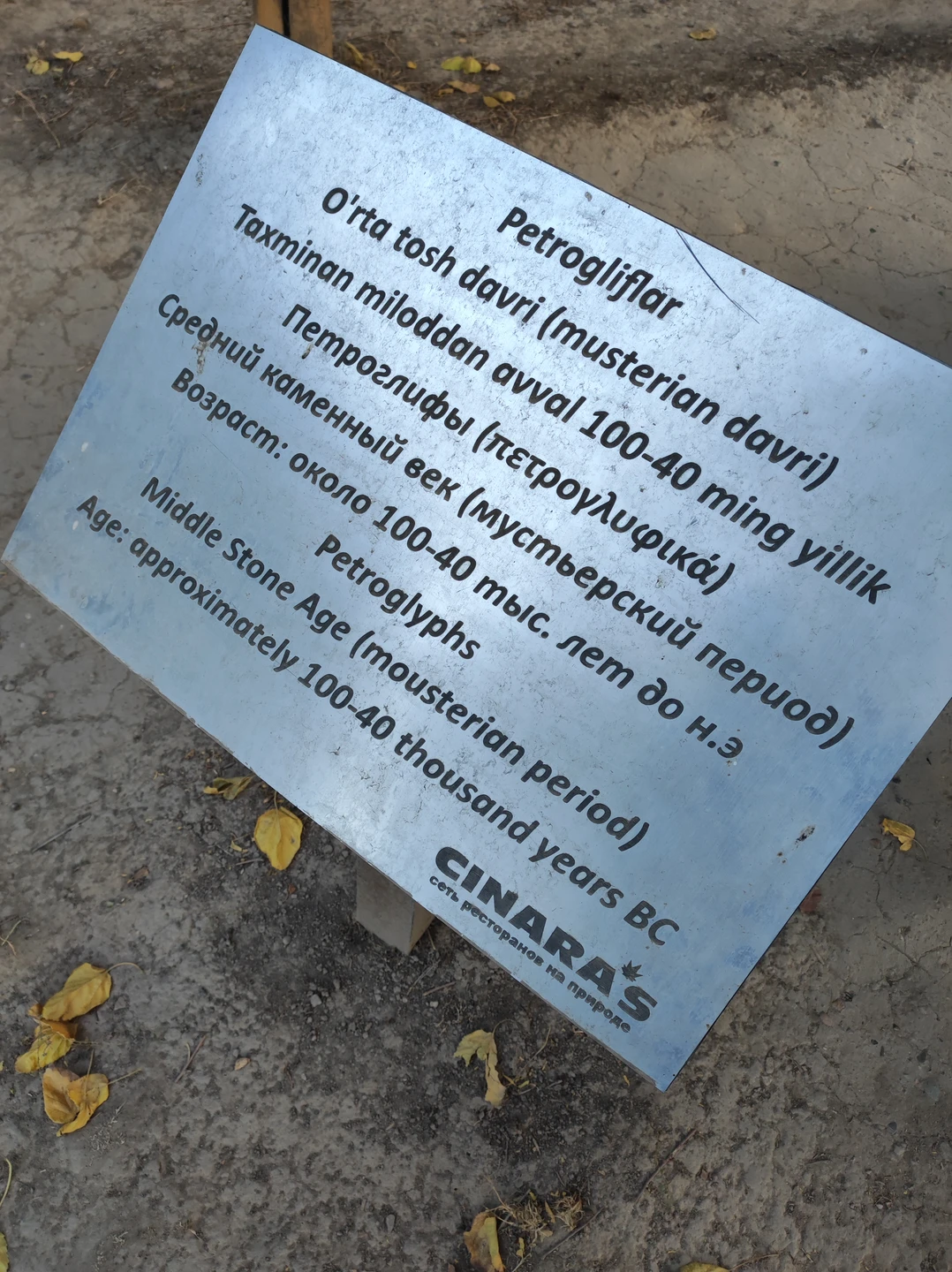 Впечатляющий маршрут, комфортный электрокар, 100% забота организатора и гида!