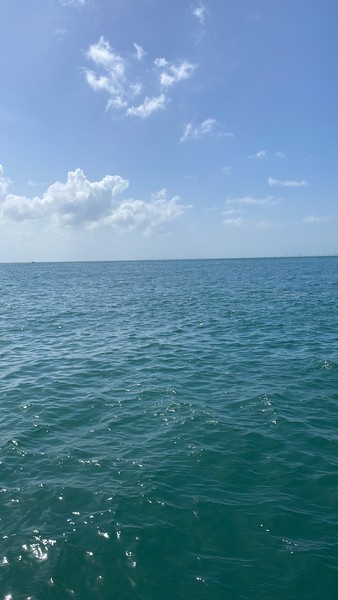 класс!!!!! 🔥🔥🔥🔥🥰🥰🥰🥰