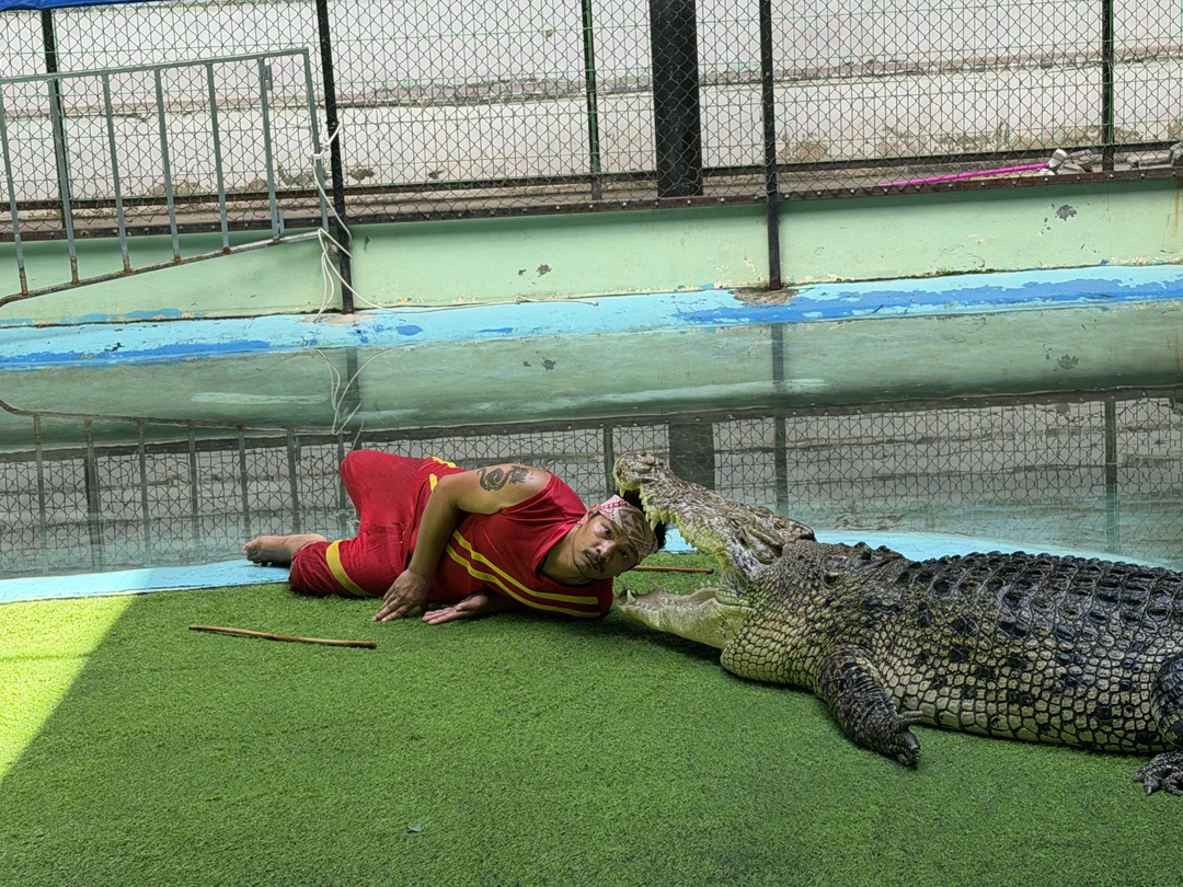 Экскурсию взяли в последний день перед вылетом, чтобы отшлифовать свои впечатления от Пхукета. Организация экскурсии на