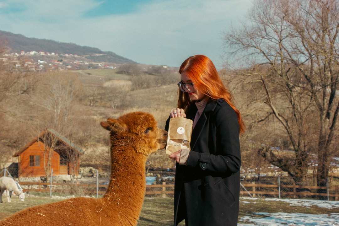 Спасибо большое за отличную экскурсию, гостеприимный прием и положительные эмоции гиду Шахину) Посетили все места без