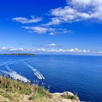 Фото отзыва 4: экскурсия "Топ-5 мысов острова Русский!"