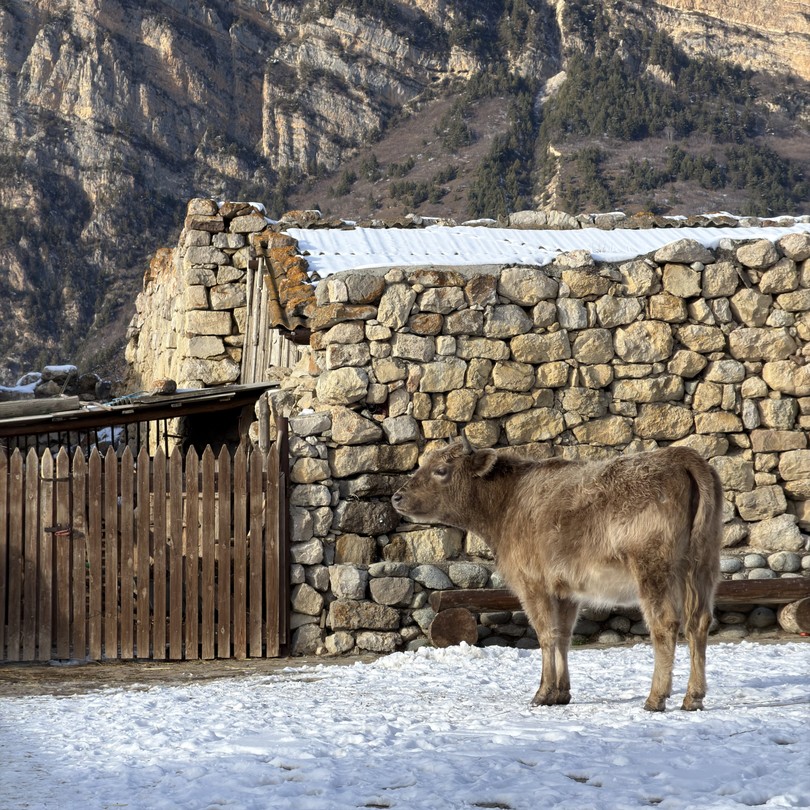 Горы, каньоны и ущелья Северной Осетии (Элина)