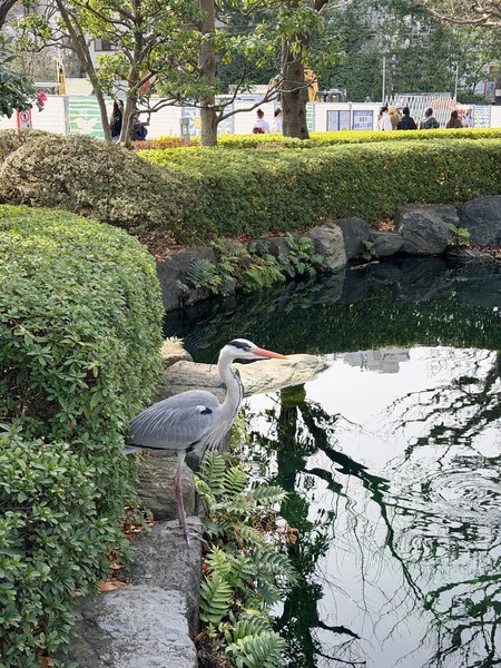 Большое спасибо Дмитрию за потрясающую прогулку! Время пролетело незаметно. Материал подан очень интересно, без сухих цифр