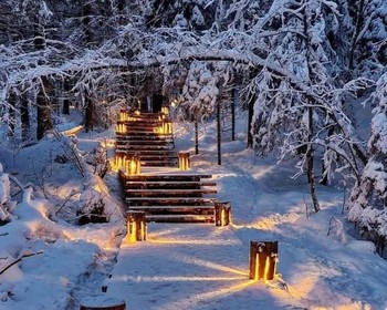 Посещение хаски-парка, прогулка на гору Паасо