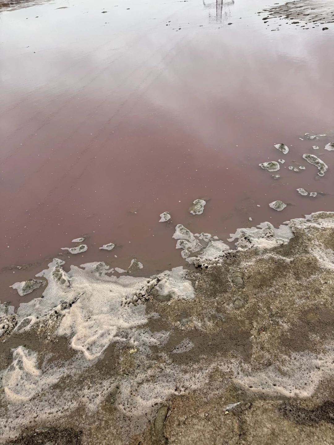 Спасибо огромное организаторам и гиду Намику!