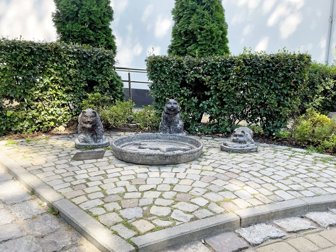 Сквер «Котофейня»