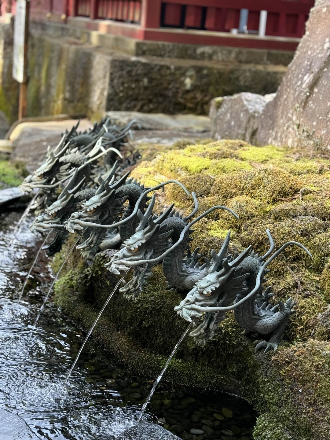 Потрясающий день! Отличная экскурсия! Организовано комфортно, очень увлекательно! Ни минуты не пожалели что решили поехать! Огромное спасибо!