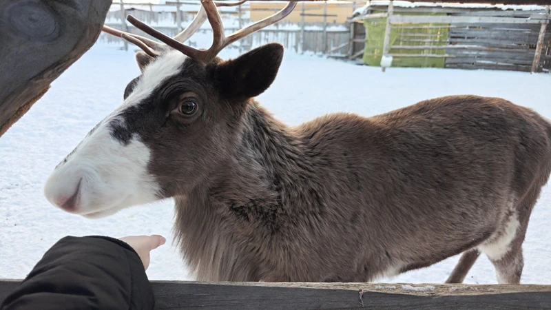 Лучшие моменты наедине: индивидуальная экскурсия в Териберку с комфортом и без спешки (Анастасия)