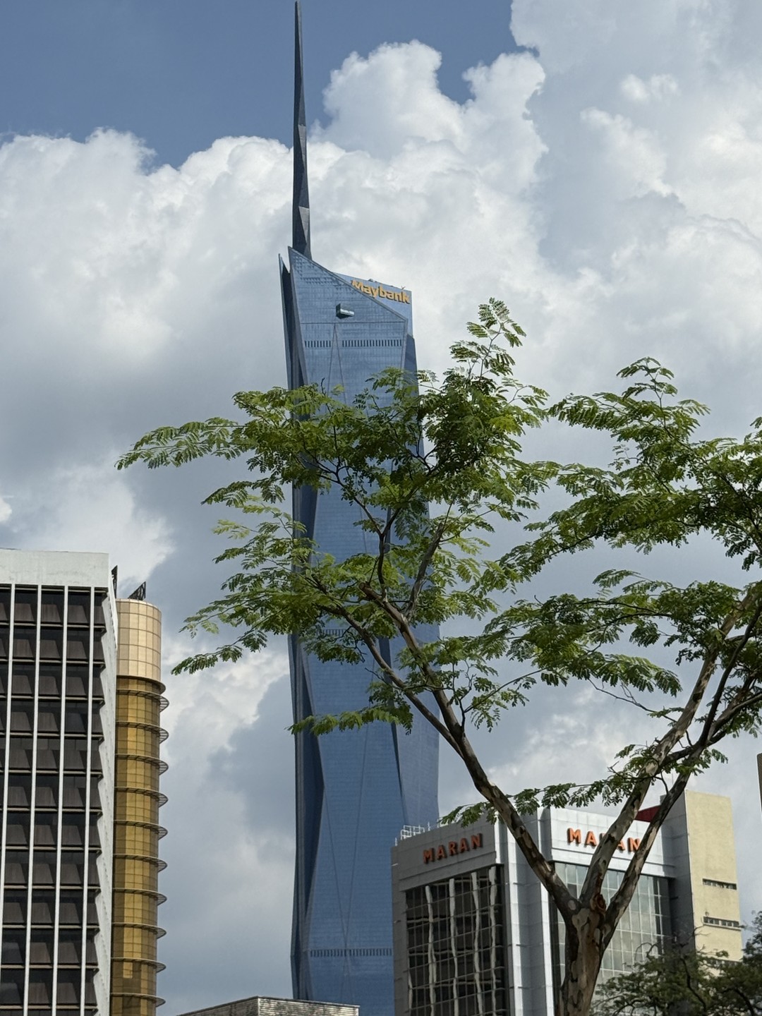 Отличная экскурсия и времяпрепровождение! Прилетели в Малайзию буквально на пару дней, чтобы отметить день рождение мамочки