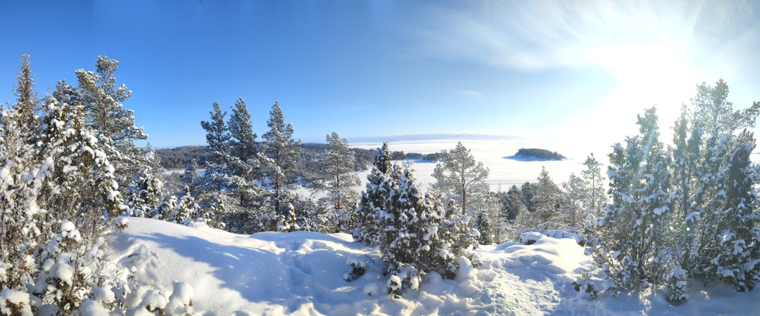 Были сегодня на экскурсии - все чудесно! Формат поездки не располагает к обширным историческим фактам, но