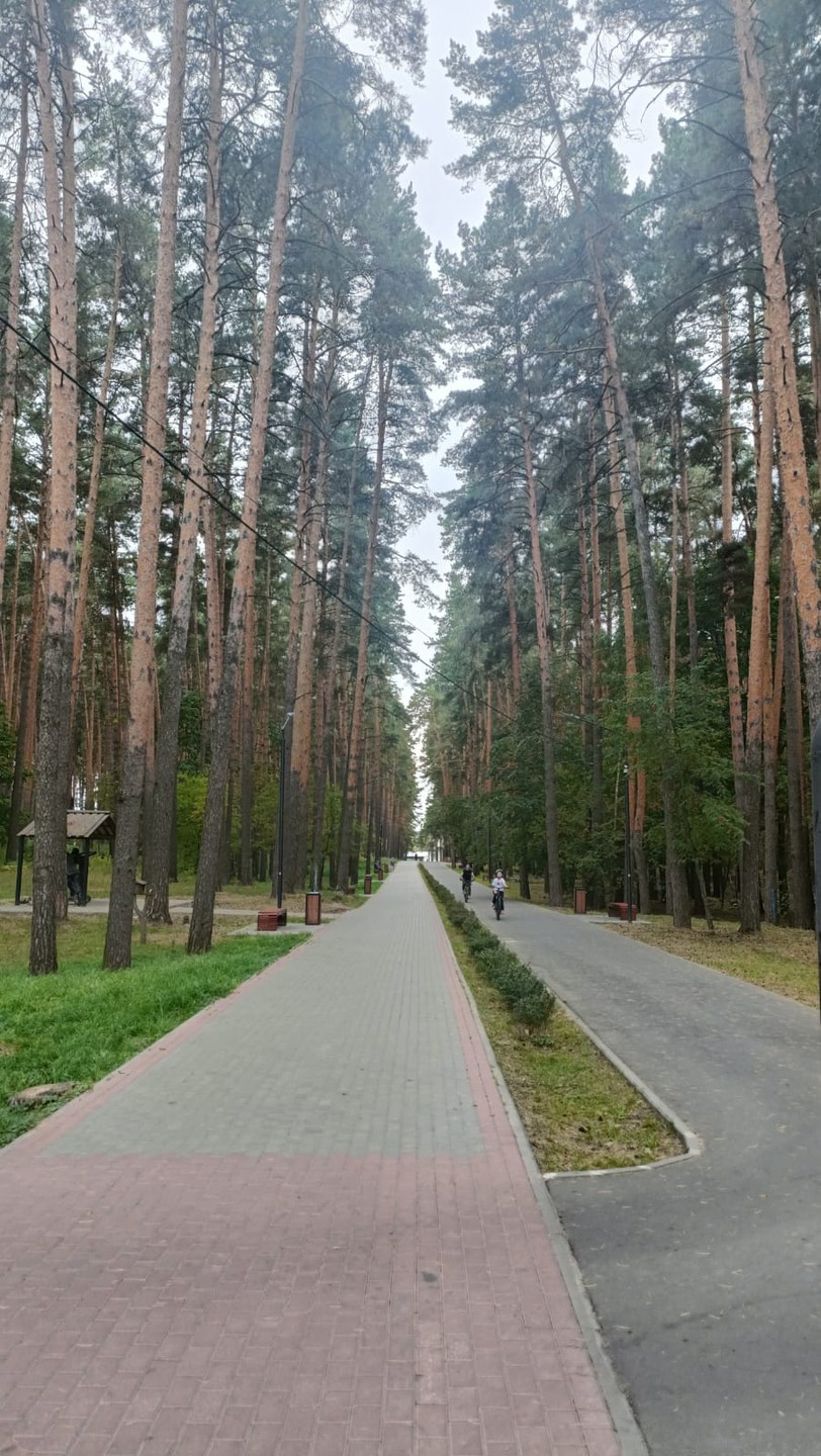 Замечательный город и замечательная экскурсия с замечательным Александром! И по городу проехали, и в красивых парках