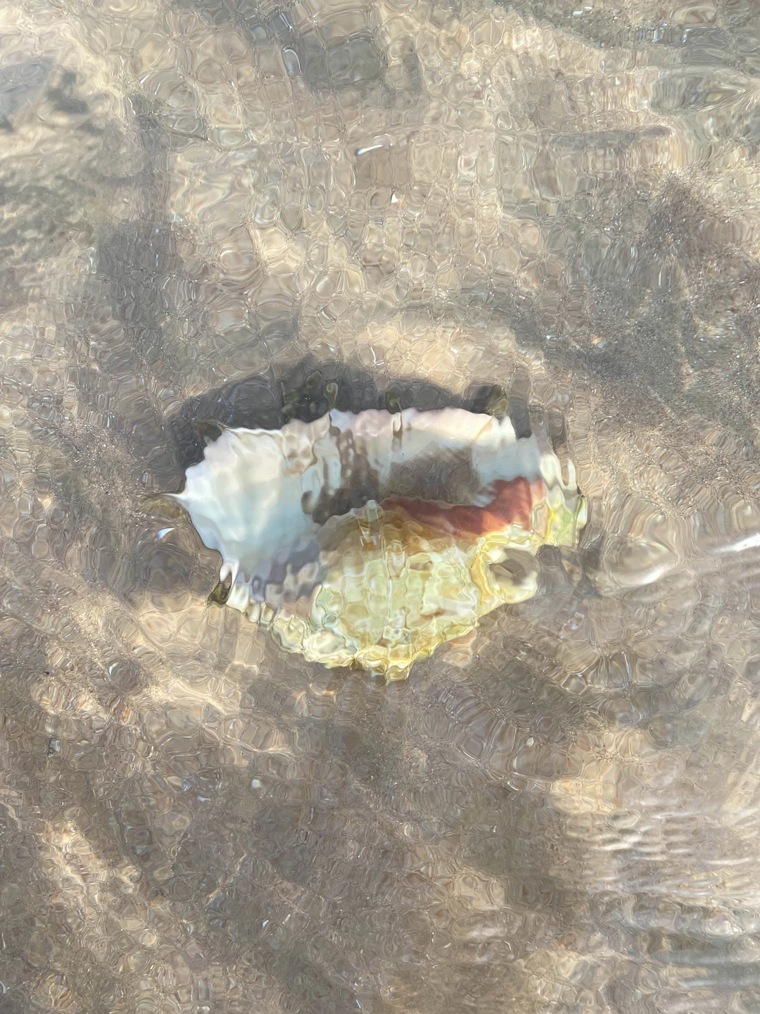 Потрясающая организация!