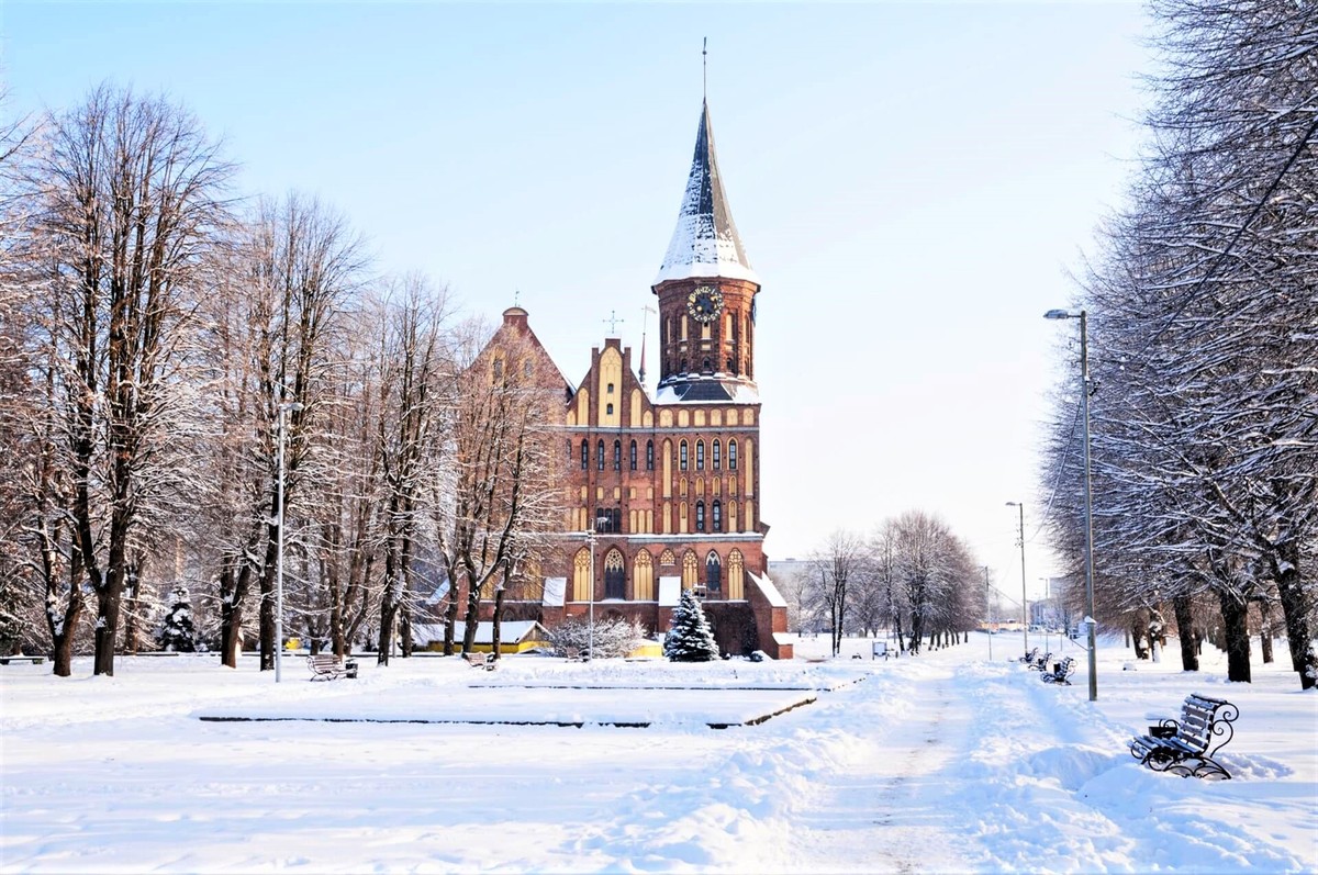 В Калининград на весь день! (Из Зеленоградска) (7/7)