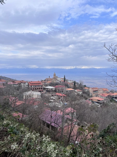 Замечателтная экскурсия в Кахетию!