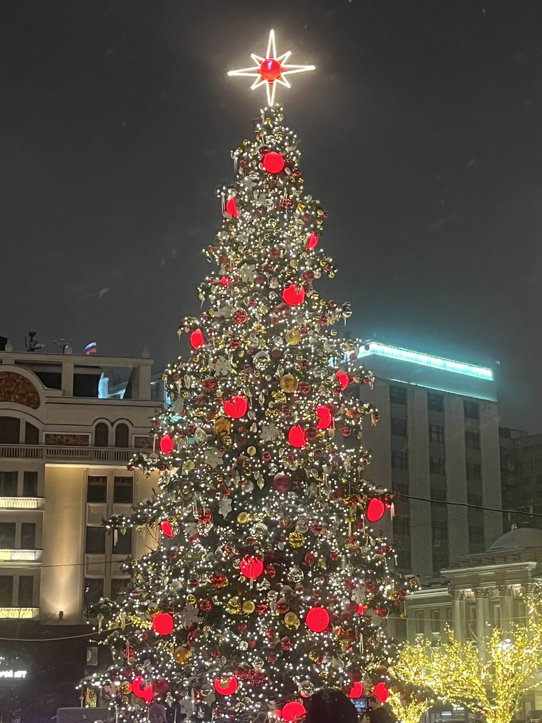 Нам повезло с экскурсоводом, которая создала теплую и уютную атмосферу во время поездки! Маршрут,понятно,был не уникальным