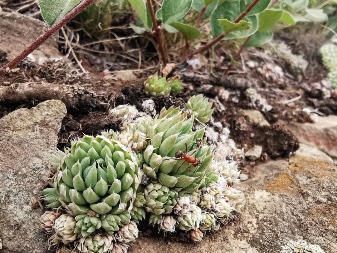 Красивые места, где нет людей