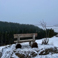 reviews img