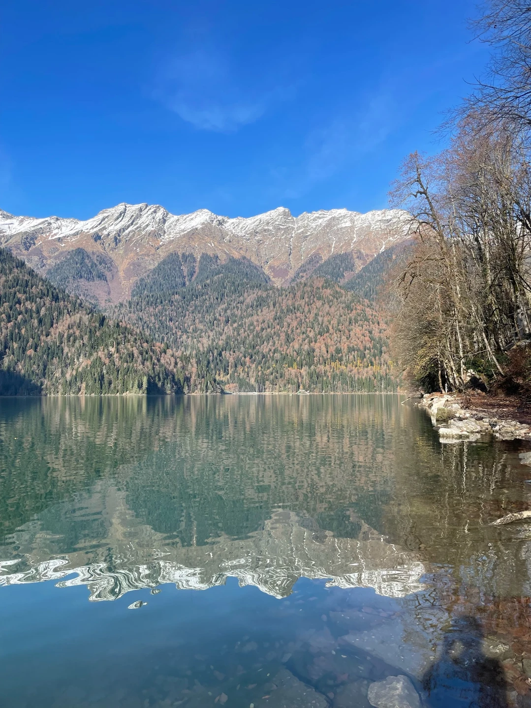 Я в полном восторге от однодневной экскурсии в Абхазию! Этот день стал поистине незабываемым путешествием. Великолепные