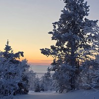 Фото отзыва 3: экскурсия "В Хибины на снегоступах — из Кировска"