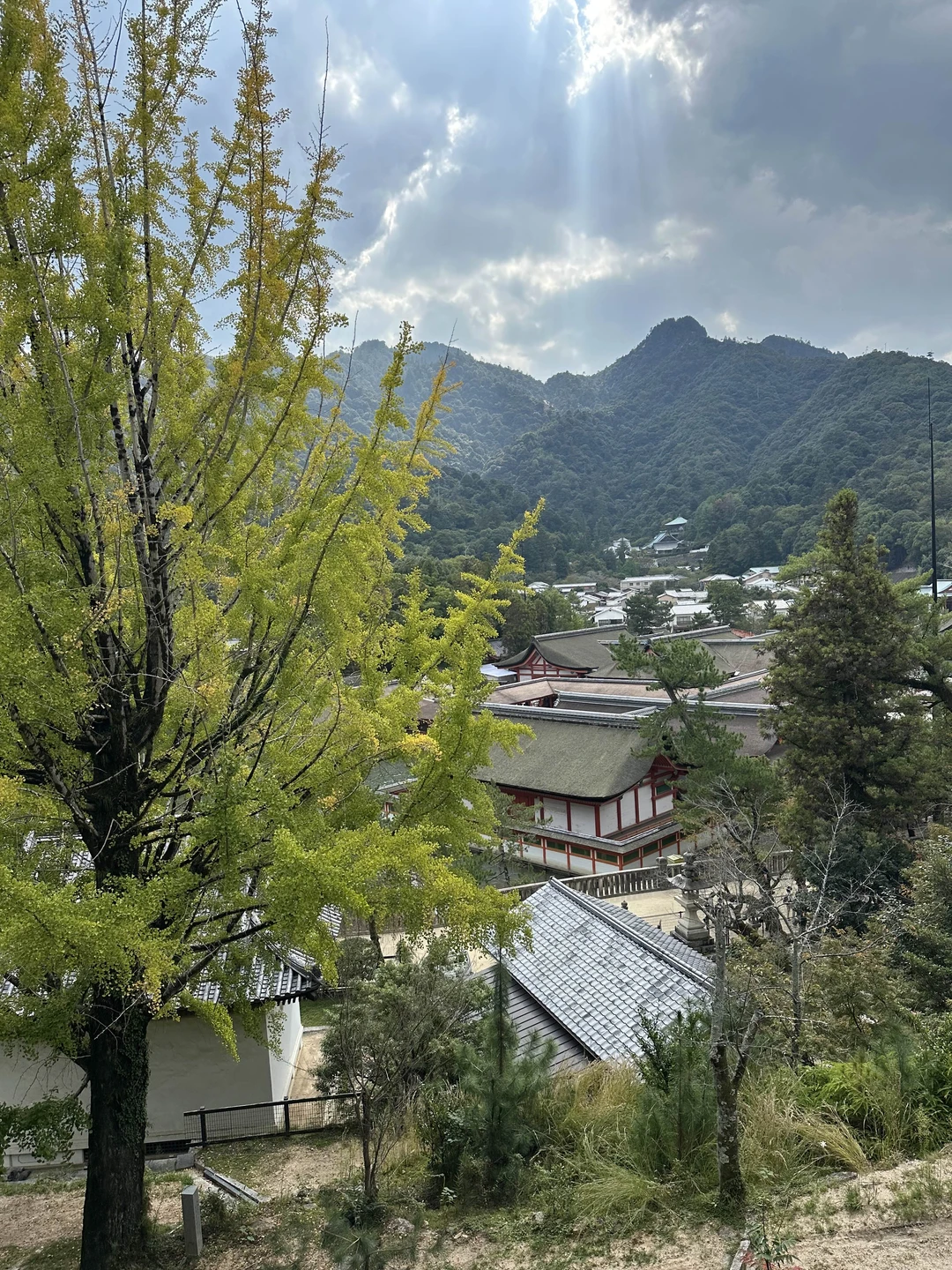 Вчера были на экскурсии в Мадзияма и Хиросима. Все было топчик, нам понравилось. Артуру спасибо большое
