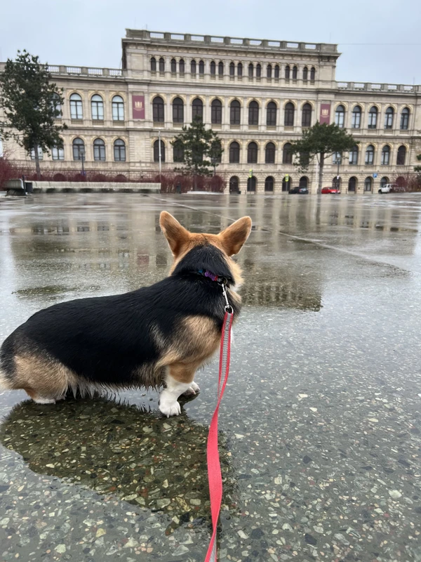 Калининград: самый смак за 3 часа с дегустацией местных деликатесов