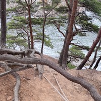 Фото отзыва 3: экскурсия "Полуостров Гамова: бухта Теляковского и остров Томящегося сердца"