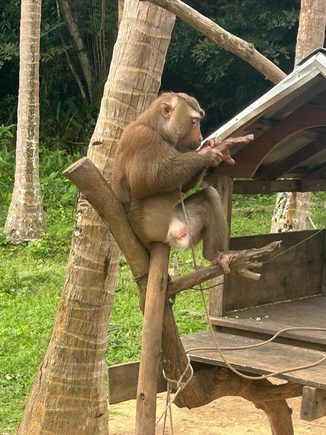 Все очень организованно, спасибо большое за море положительных эмоций 😍😍😍