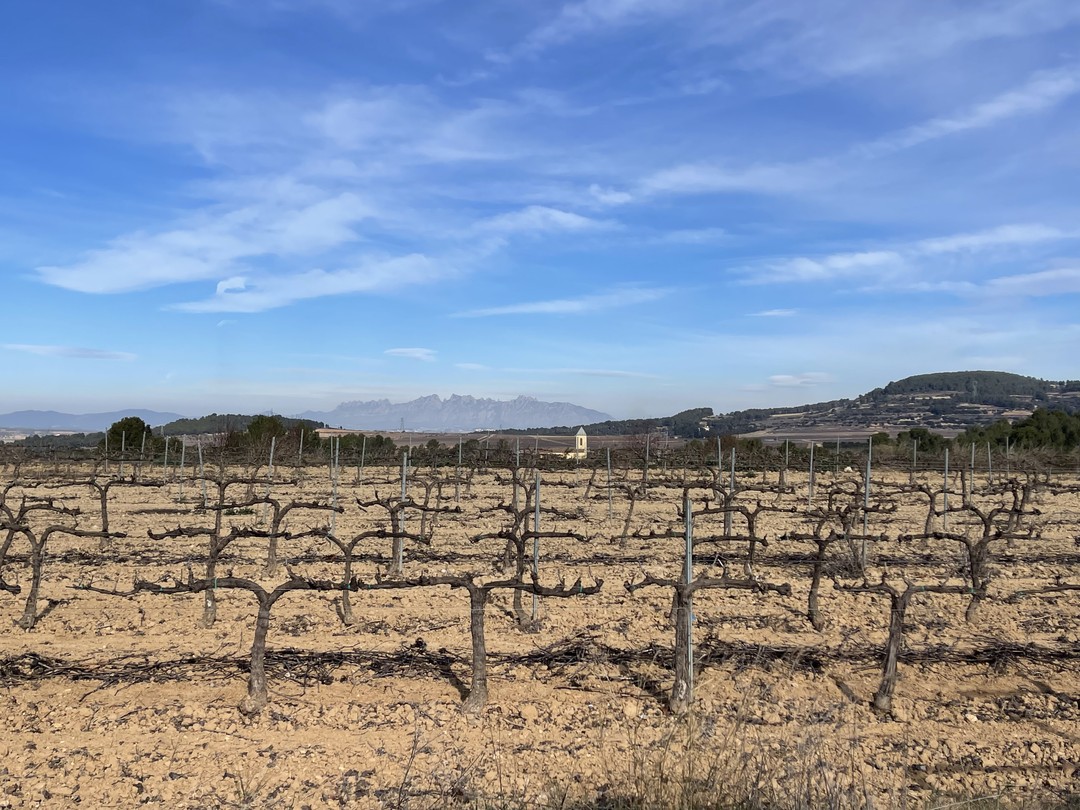 Очень интересная экскурсия и потрясающий гид Вероника! Рекомендуем к посещению