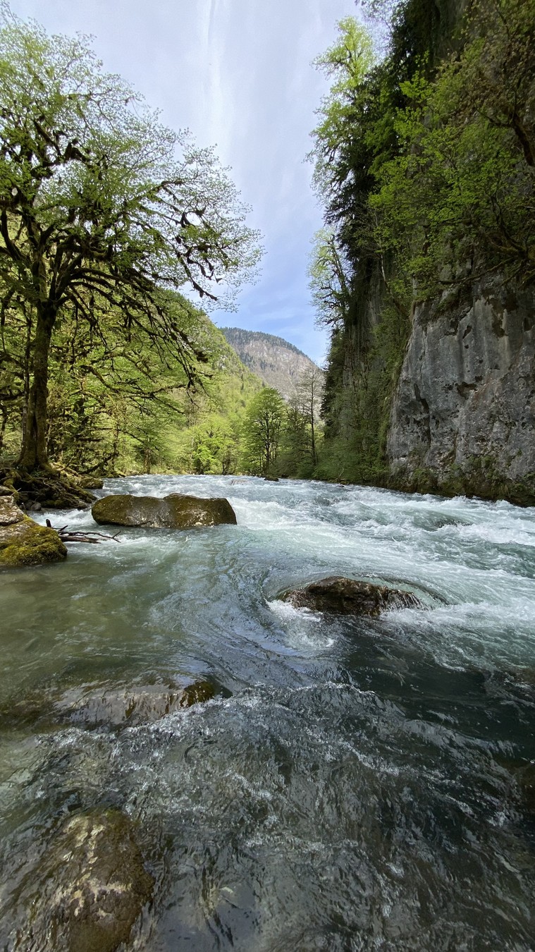 Абхазия в объективе: путешествие с мобильной фотосъёмкой (18/20)