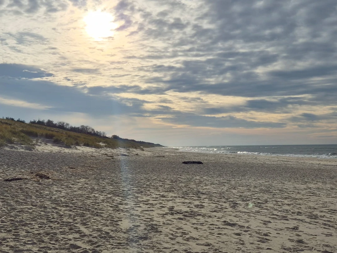 Топ-места Куршской косы (Елена)