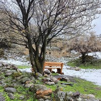 Фото отзыва 2: экскурсия "Страна башен: в Ингушетию из Кисловодска"