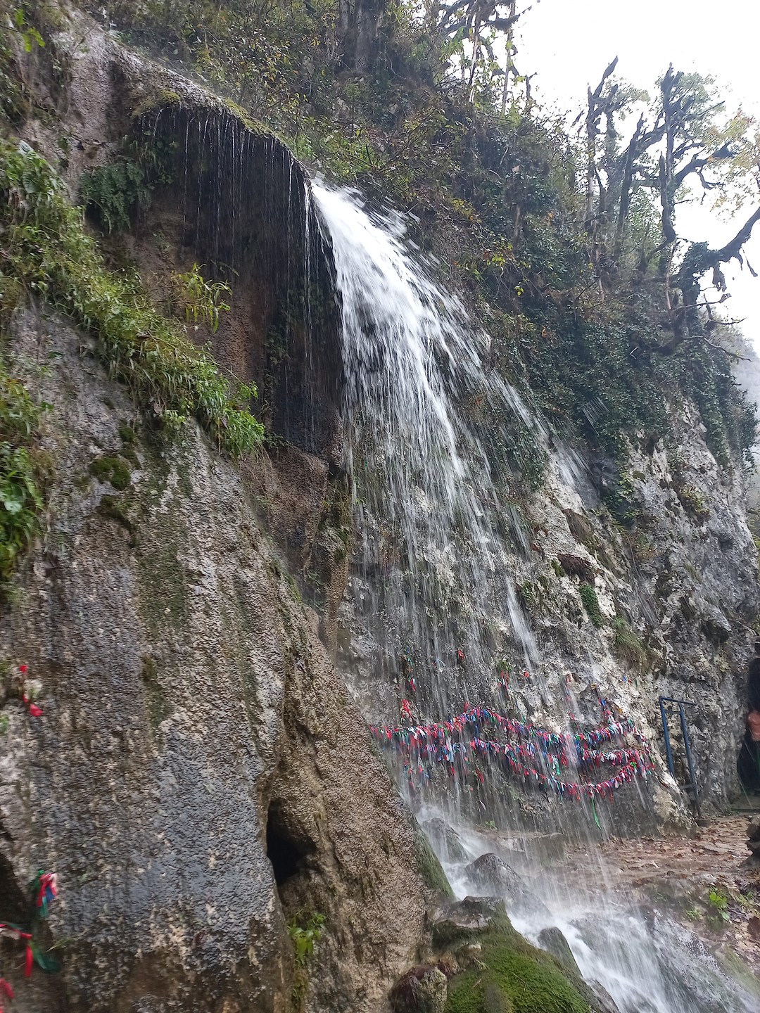 Главные жемчужины Страны Души за 1 день - из Сочи (Таршилова)