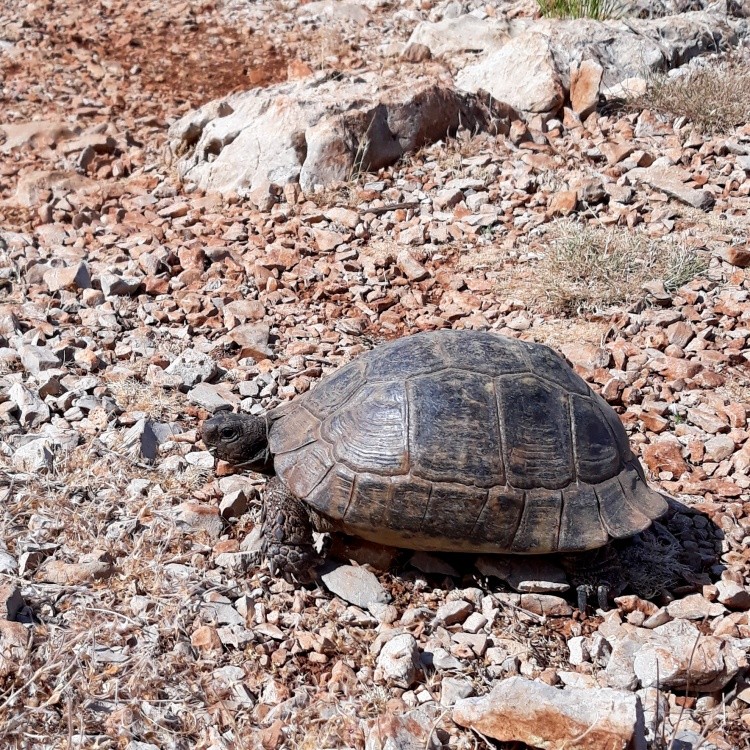 Пешком вдоль Средиземного моря (4/7)