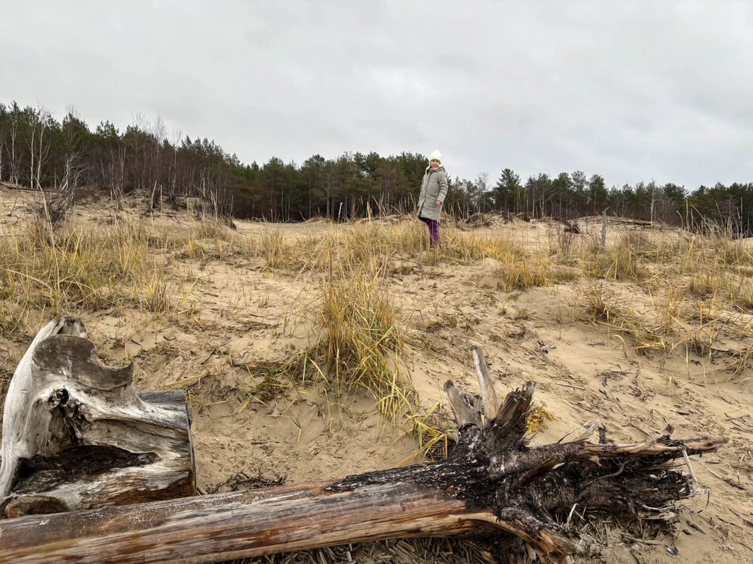 Впервые пользовались таким форматом экскурсии. Приехав в Архангельск, решили обязательно посетить Белое море)))изучала этот вопрос и