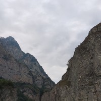 reviews img