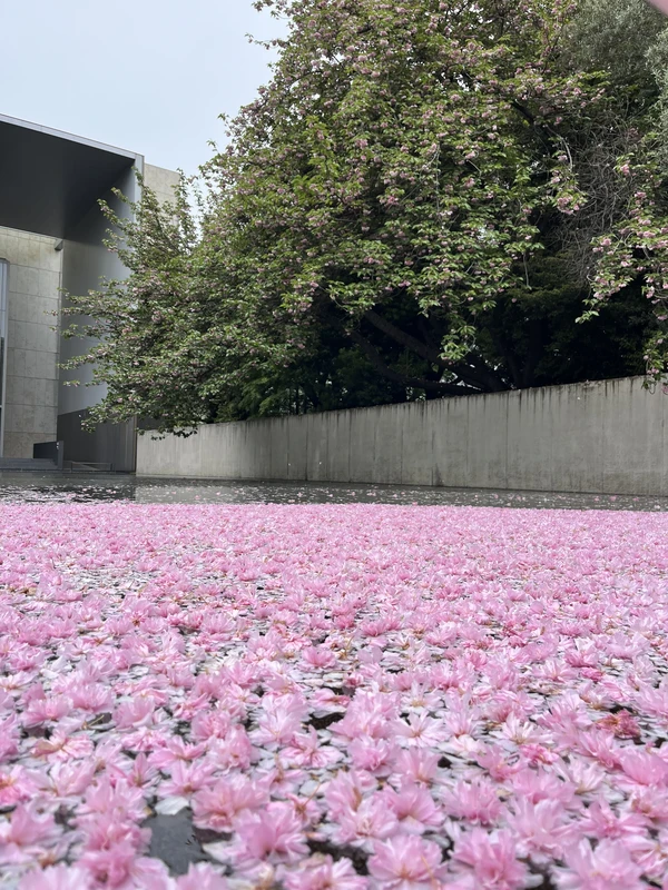 Прогулка по Токийскому национальному музею