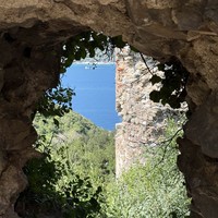 reviews img