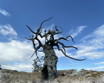 День отдыха