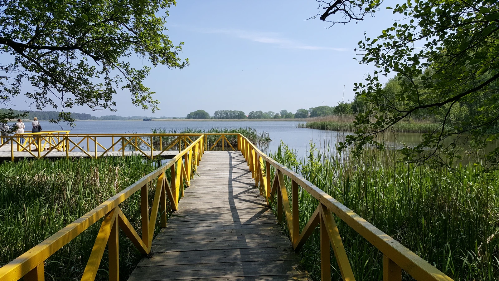 Куршская коса - царство моря, дюн и птичьих голосов